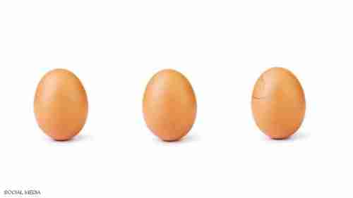 البيضة التي هزمت كايلي جينر "تفقس".. وفيديو يحكي قصة الصورة