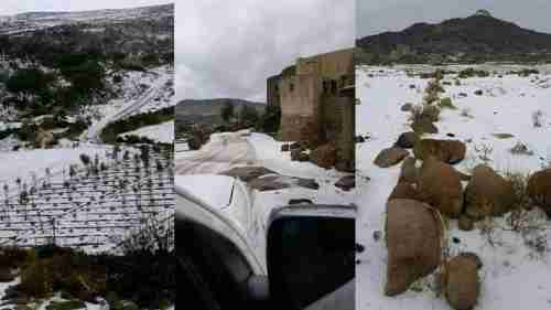 شاهد..الثلوج تتسبب بفاجعة كبيرة لأول مرة في تاريخ اليمن