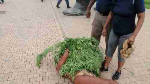 جنوب إفريقيا.. اعتقال "الملك خويسان" بسبب نبتة القنب قرب مكتب الرئيس