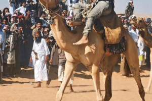 عدن تخطف المركز الأول في سباق الهجن وشبوة في سباق الفروسية