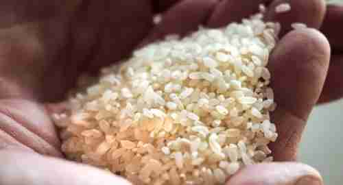   5 أخطاء شائعةفي طبخ الأرز وكيفية إصلاحها