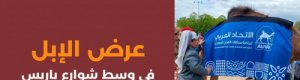 الاتحاد العربي لسباقات الهجن يشارك  بمسيرة الإبل في باريس