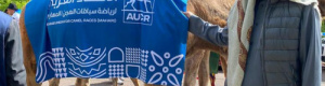رئيس عربي الهجن يشيد بالمشاركة الناجحة للاتحاد بمسيرة الإبل في باريس
