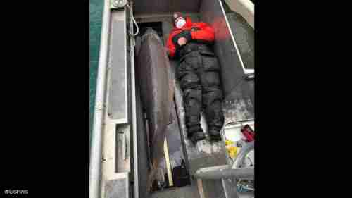 اصطياد سمكة يزيد عمرها على 100 عام في ديترويت