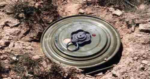 "مسام" ينتزع 3.154 لغمًا في اليمن