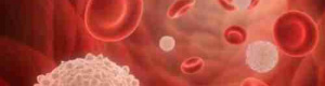 اكتشاف أسباب زيادة خلايا الدم البيضاء لدى مرضى الكوليسترول