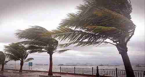 تحذيرات من نشاط رياح محملة بالأتربة تضرب محافظات جنوبية !