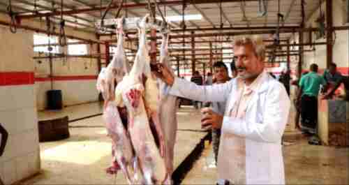 اسعار المواشي واللحوم اليوم في عدن