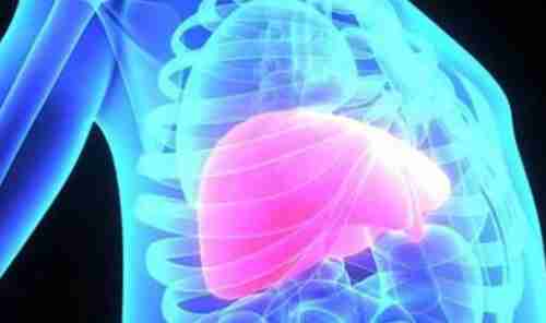 8 علامات تحذيرية تؤكد تطور خطير لتليف الكبد الصامت