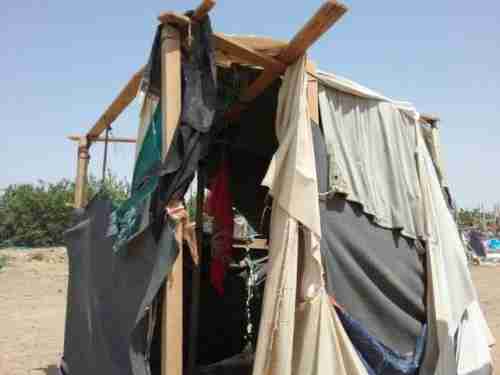 امرأة يمنية تذبح ضرتها في مخيم الجفينة بمارب  