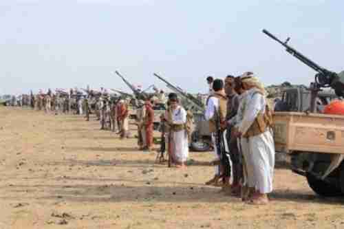 قبائل مارب تستعد لمواجهة مليشيا الحوثي وترفع الجاهزية لمساندة الجيش اليمني