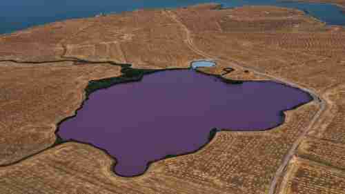 بحيرة ملونة تثير جدلا.. الكشف عن سر تغير لون بحيرة عربية عمرها 5000 سنة (صور)