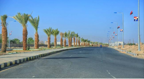 غرس 13 ألف شجرة ورصف 26 ألف متر مربع بمحافظة مأرب  