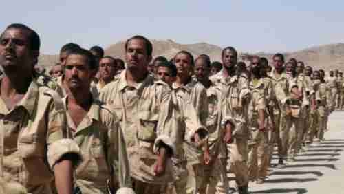   الثعابين تقتل ثمانية جنود في الجيش اليمني بمعسكر في الصحراء 