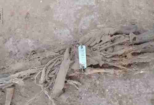 السيول تجرف جثث الحوثيين و”الأساور” لا تزال بالهياكل العظمية