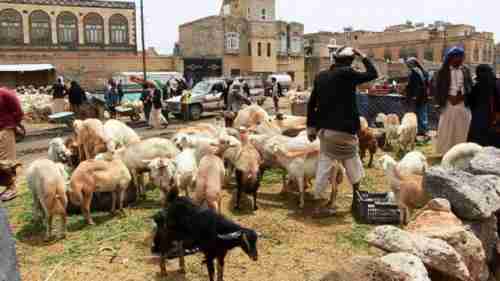 طريقة حوثية لنزع فرحة المواطنين بالعيد 