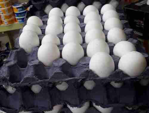 طبق البيض يصل لارقام قياسية في عدن لاول مرة