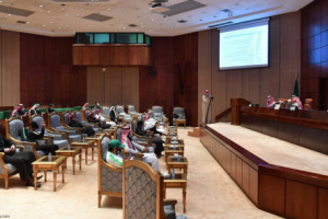 السعودية تنقل لجنة الاستدامة المالية إلى رابطة المحترفين