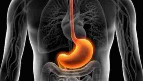 مشروب غير متوقع خارق في علاج الحوضة