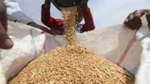 وزير: مخزون اليمن من القمح يكفي 4 أشهر وبدأنا إجراءات للاستيراد من عدة دول