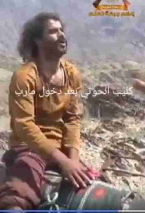 كان يزأر مثل الأسد ثم ركب على ظهر حمار ذليلا.. شاهد ”كليب” الحوثيين قبل وبعد أن يقع أسيرا في يد الجيش الوطني