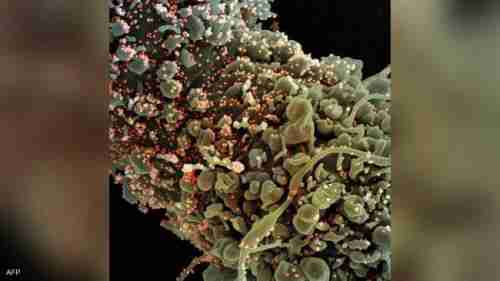 "مو".. هذا ما نعرفه عن أحدث نسخ كورونا..