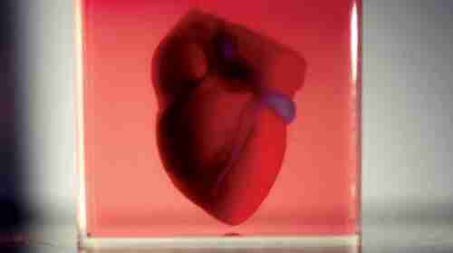 طرق تطوير علاجات جديدة لأمراض القلب الخلقية