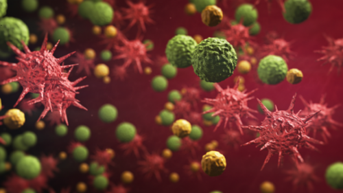 دراسة عمرها 35 عاما تلمح إلى أن مناعة فيروس كورونا قد لا تدوم طويلا!