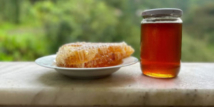 "العسل المجنون" في تركيا..هل لديه القدرة فعلًا على إسقاط جيش كامل؟