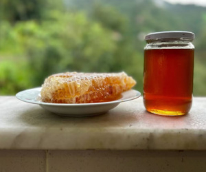 "العسل المجنون" في تركيا..هل لديه القدرة فعلًا على إسقاط جيش كامل؟