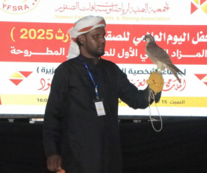 مزاد الصقور الوطني الأول بالمكلا يحقق مبيعات قياسية تتجاوز 7.8 مليون ريال