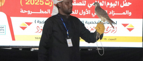 مزاد الصقور الوطني الأول بالمكلا يحقق مبيعات قياسية تتجاوز 7.8 مليون ريال