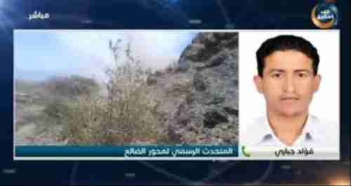  هدوء حذر يسود كافة جبهات القتال بالضالع