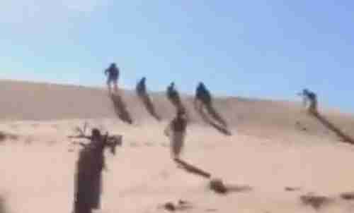 شاهد فرار جماعي لمقاتلي الحوثي وأبطال الجيش والمقاومة يطاردونهم في الجبهة الجنوبية بمأرب (فيديو)