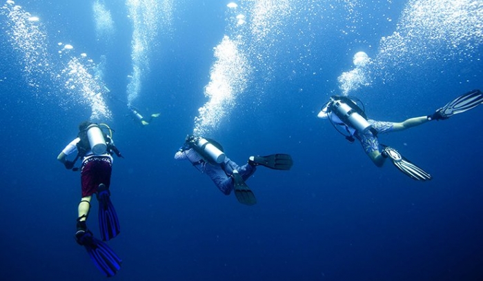 غواص مصري يحطم رقما قياسيا في الغوص