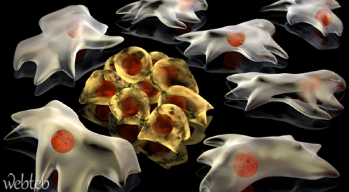 دراسة: قد يكون "الحظ السيء" سببا للإصابة في السرطان!