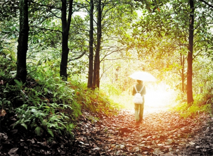 الاكتئاب: إدراك جديد