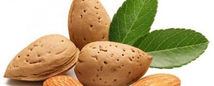 فوائد اللوز السحرية فى الرشاقة والوقاية من امراض القلب والسكر