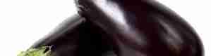 فوائد الباذنجان الكثيرة والمذهلة للجسم وخصوصاً المرأة