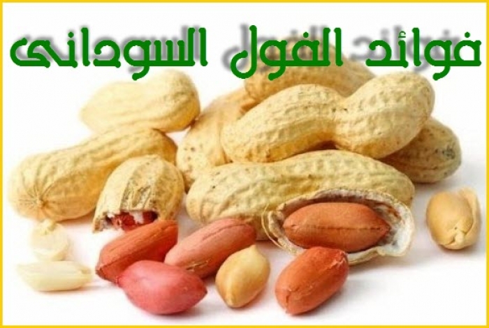 فوائد الفول السودانى فى علاج السرطان وأمراض القلب والالتهابات والحصوات