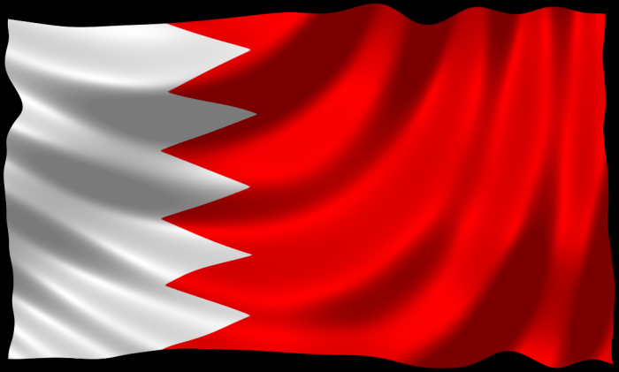 عاجل... وصول أول قوات بحرينية الى عدن الآن