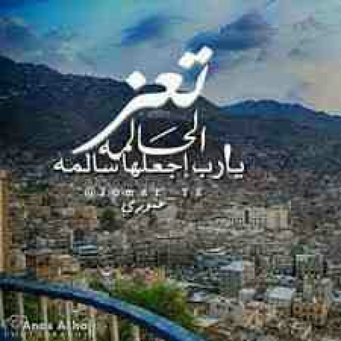 حصاد اليوم الرابع من عملية نصر الحالمة تعز
