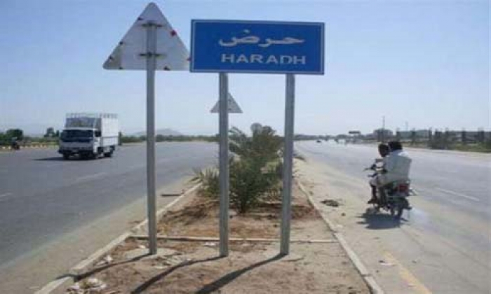 الجيش يحرر مديريتي حرض وميدي بحجة وفرار للمتمردين إلى الحديدة