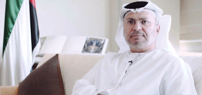 وزير اماراتي يميط اللثام عن " الانتصار المدوي" الذي احرزته مليشيا الحوثي وصالح