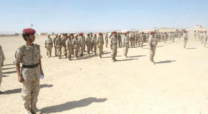 الشرق الأوسط : إعادة هيكلة ألوية عسكرية بالجيش الوطني تسريعًا لحسم المعارك