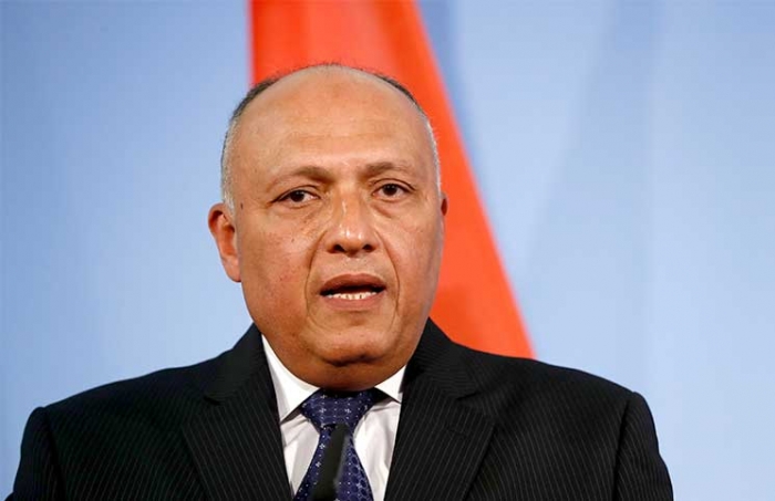 وزير الخارجية المصري يؤكد: متحالفون مع المملكة في اليمن