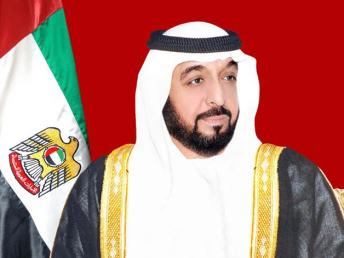 أول رد فعل للرئيس الإماراتي حيال مقتل جنود سعوديين في إسقاط طائرة بمأرب
