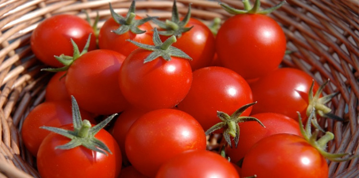 دراسة حديثة تنصح بتناول الطماطم للوقاية من سرطان المعدة