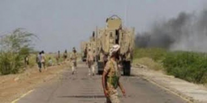 حجة : الجيش الوطني يتقدم بجبهة حرض وميدي الساحلية .. تفاصيل