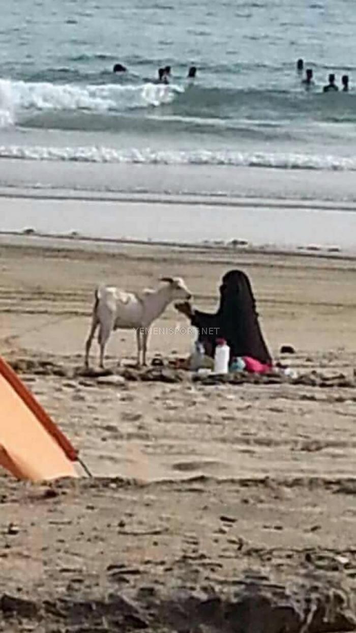 لا يحدث هذا الا في عدن .. تيس العيد يرافق العائلة في رحلة استجمام بساحل جولد مور (صورة)